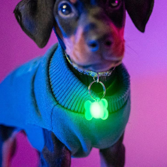 Brightz Pup Brightz 2-Pack Illuminated LED Dog Collar Charms Rainbow Glow Lights for Night Walks Waterproof & Durable with Paw Print & Bone Charms