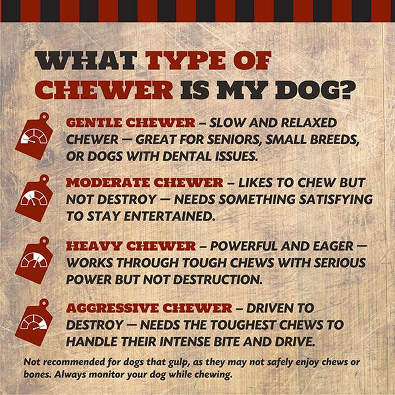 The Country Butcher Beef Shank Dog Bones for Aggressive Chewers Large Breed Treats Natural Tough Chew Toy 3 Count Made in USA