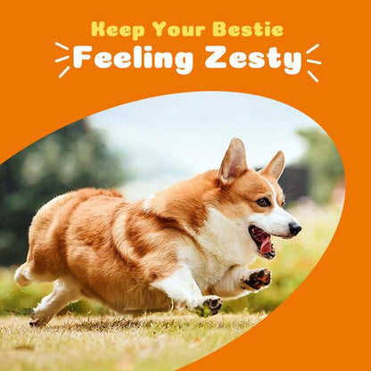 300Gxxl Family Size Petdaddy Chewable Dog Multivitamin | Joint, Skin & Omega 3 Support | Puppy & Senior | 120 Chews #Dogsupplements #Pethealth